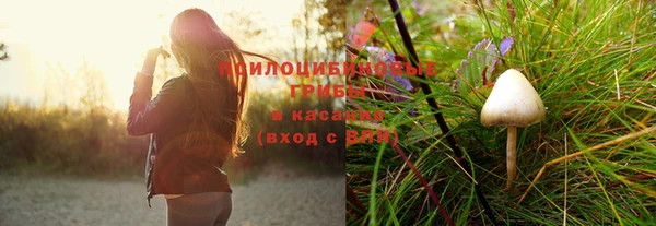 mix Вяземский