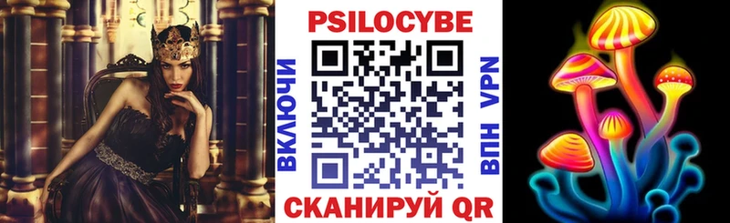 Псилоцибиновые грибы Psilocybine cubensis  мориарти официальный сайт  Заволжск  закладки 
